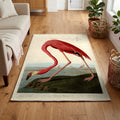 American Flamingo vintage field plate area rug (Worldwide)