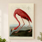 American Flamingo vintage field plate wall art print