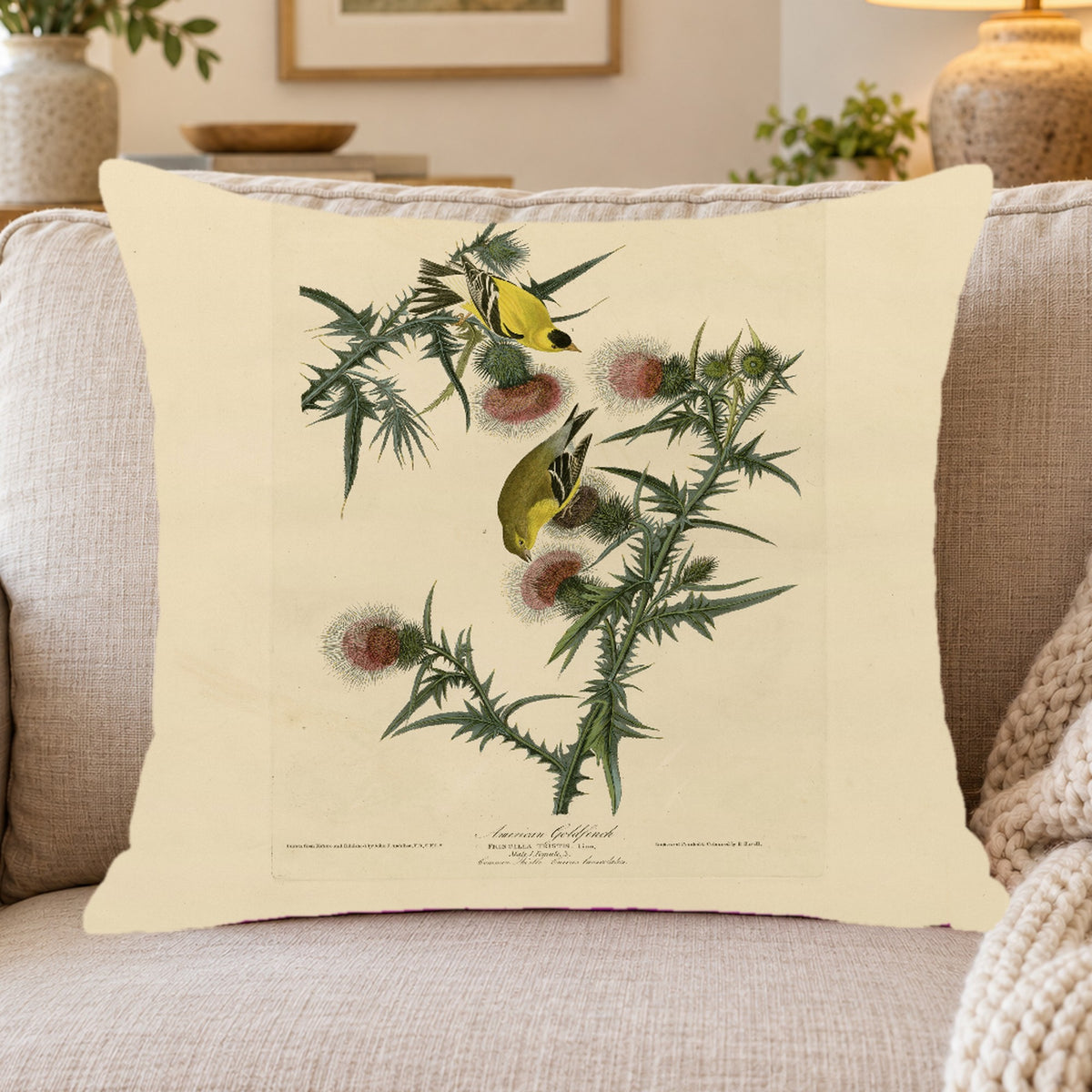 American Goldfinch vintage field plate throw pillow cover