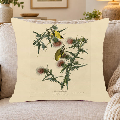 American Goldfinch vintage field plate throw pillow cover