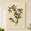 American Goldfinch vintage field plate wall art print