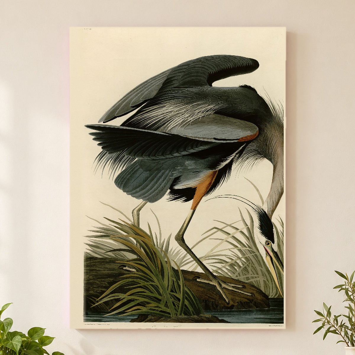 Great Blue Heron vintage field plate wall art print