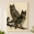 Great Horned Owl vintage field plate wall art print