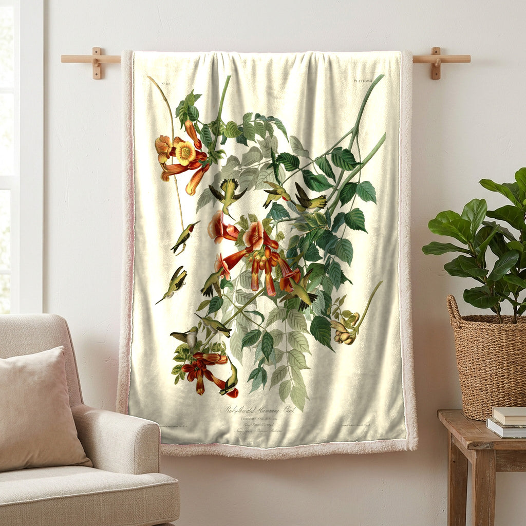 Ruby-throated Hummingbird vintage field plate sherpa blanket