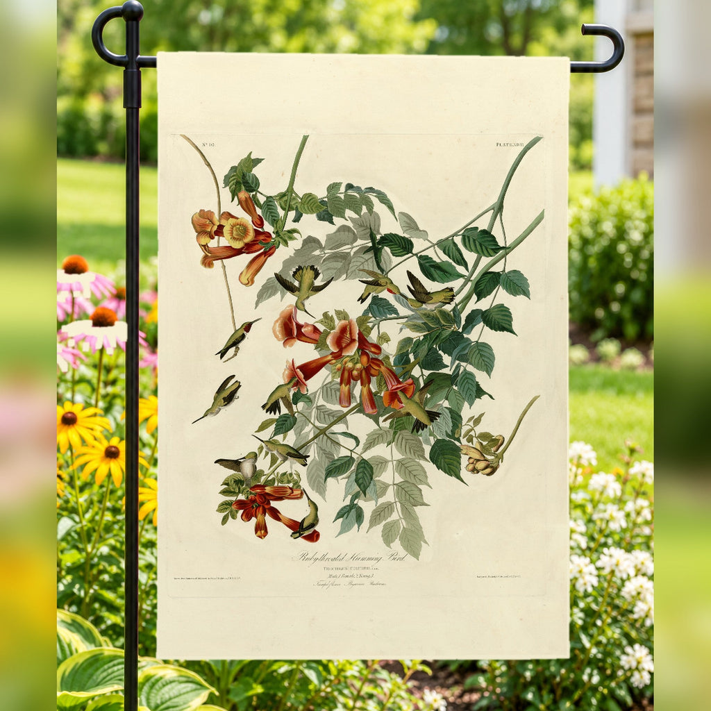 Ruby-throated Hummingbird vintage field plate garden & house flag