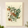 Ruby-throated Hummingbird vintage field plate wall art print