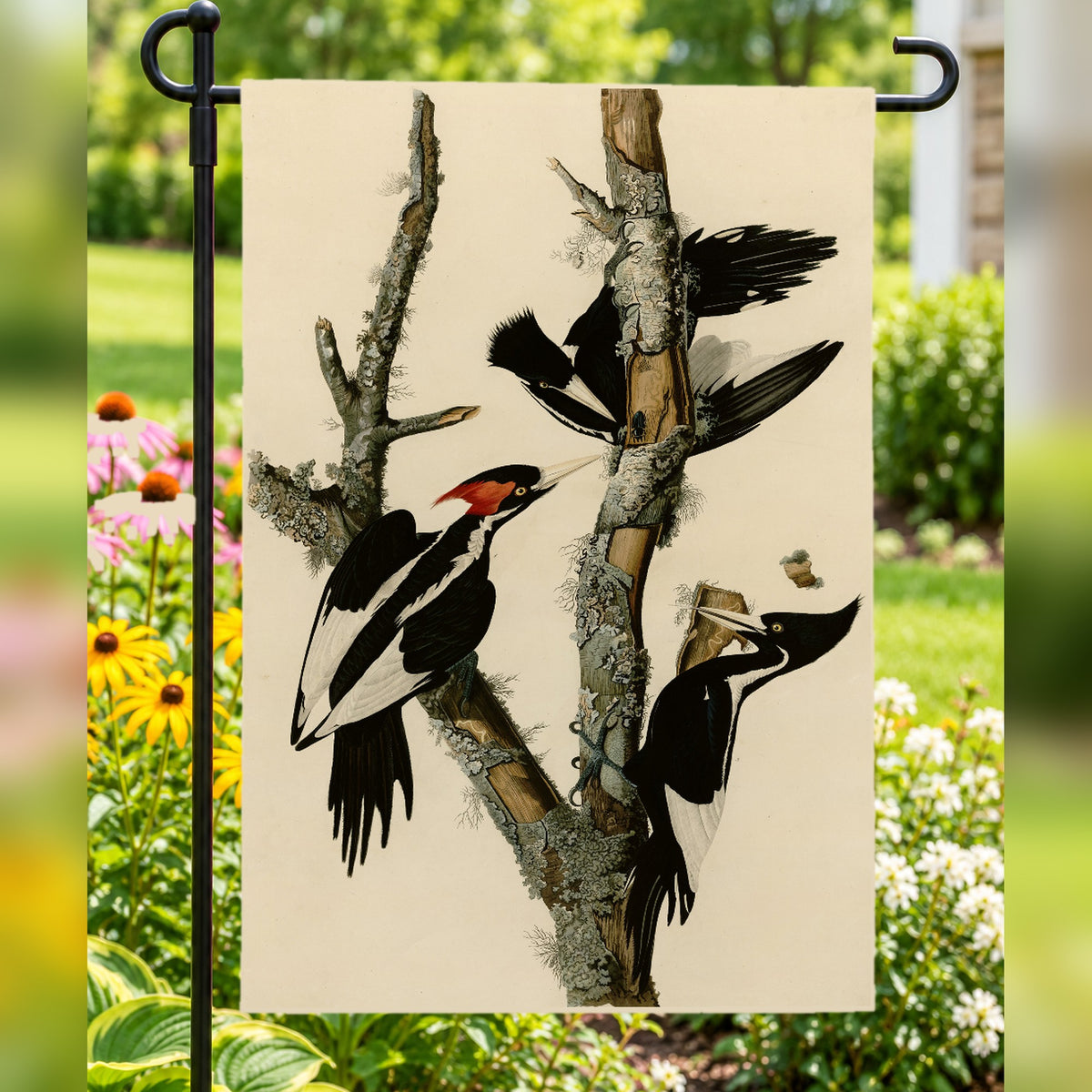 Ivory-billed Woodpecker vintage field plate garden & house flag
