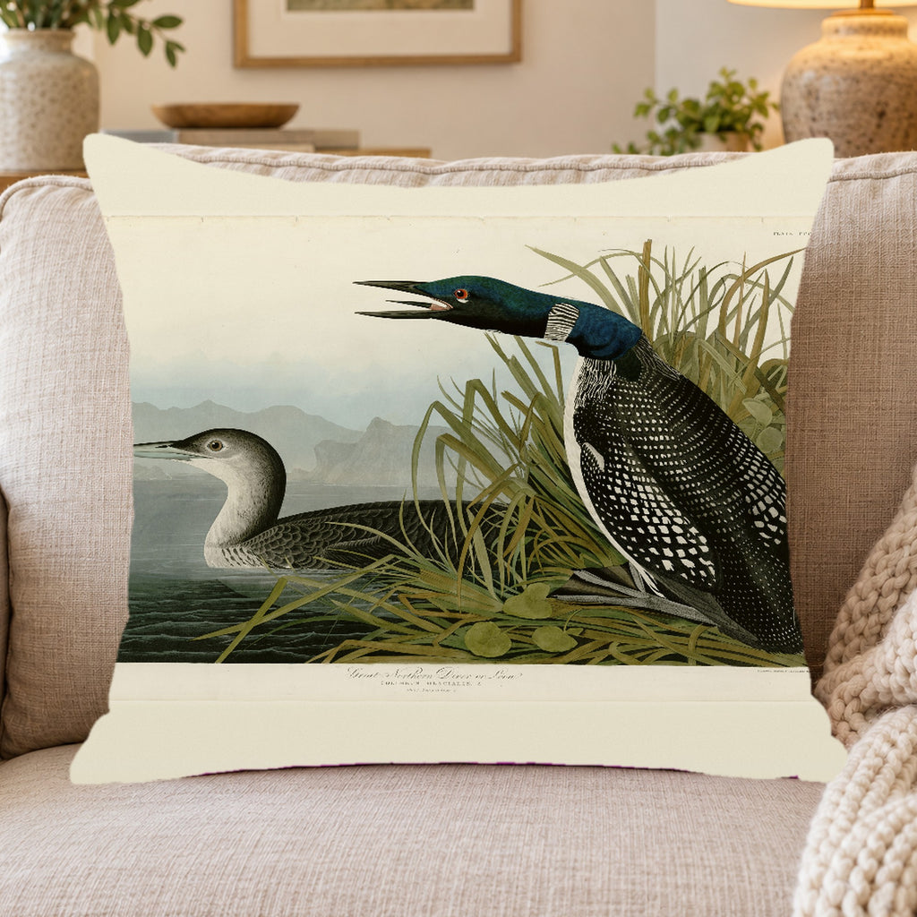 Common Loon vintage field plate throw pillow cover