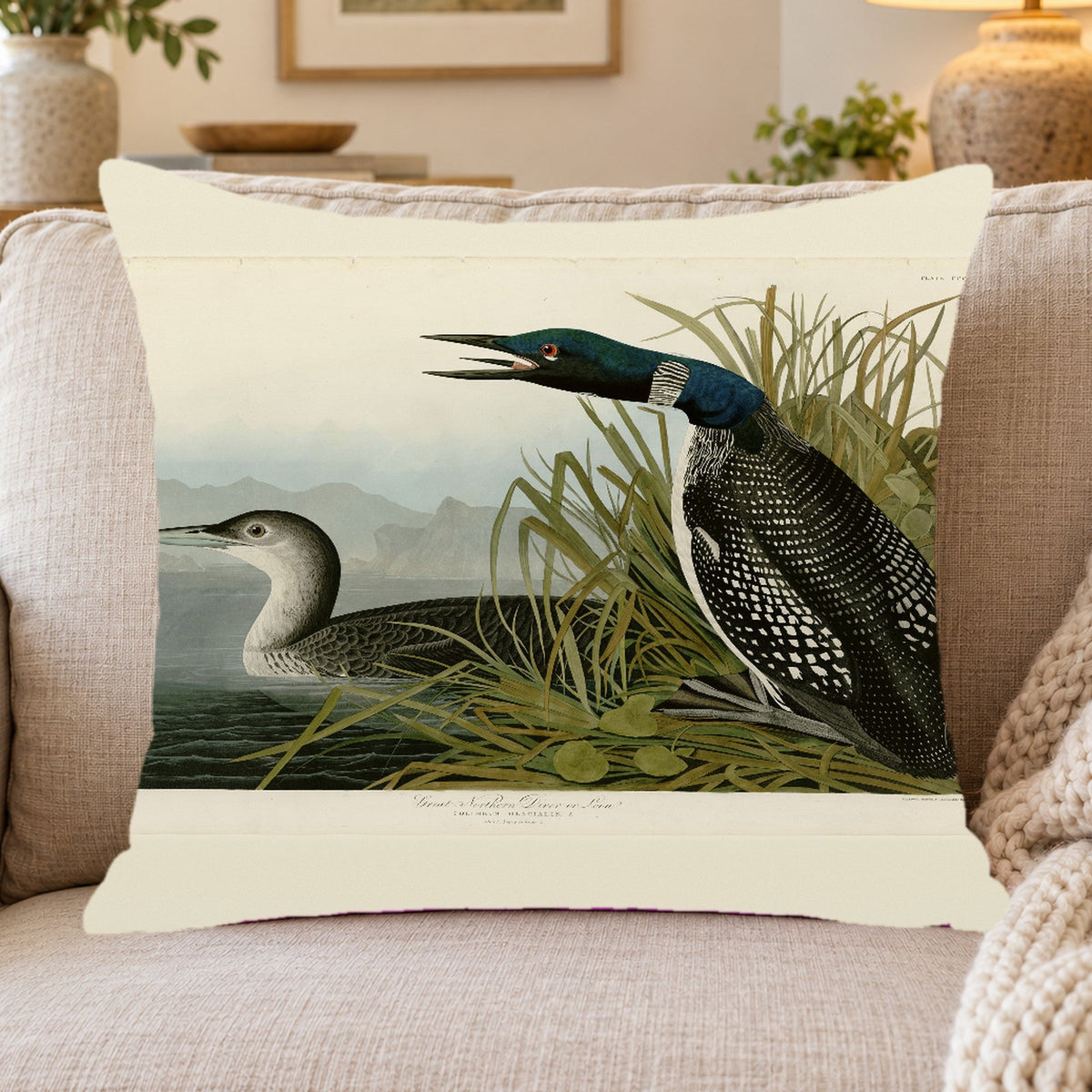 Common Loon vintage field plate throw pillow cover