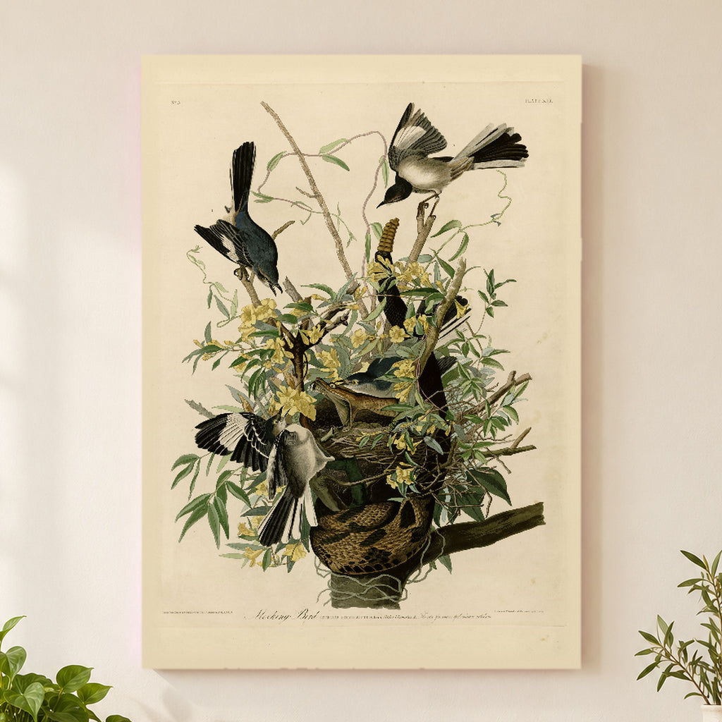 Northern Mockingbird vintage field plate wall art print