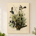 Northern Mockingbird vintage field plate wall art print