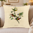 Painted Bunting vintage field plate throw pillow cover