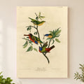 Painted Bunting vintage field plate wall art print