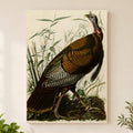 Wild Turkey vintage field plate wall art print